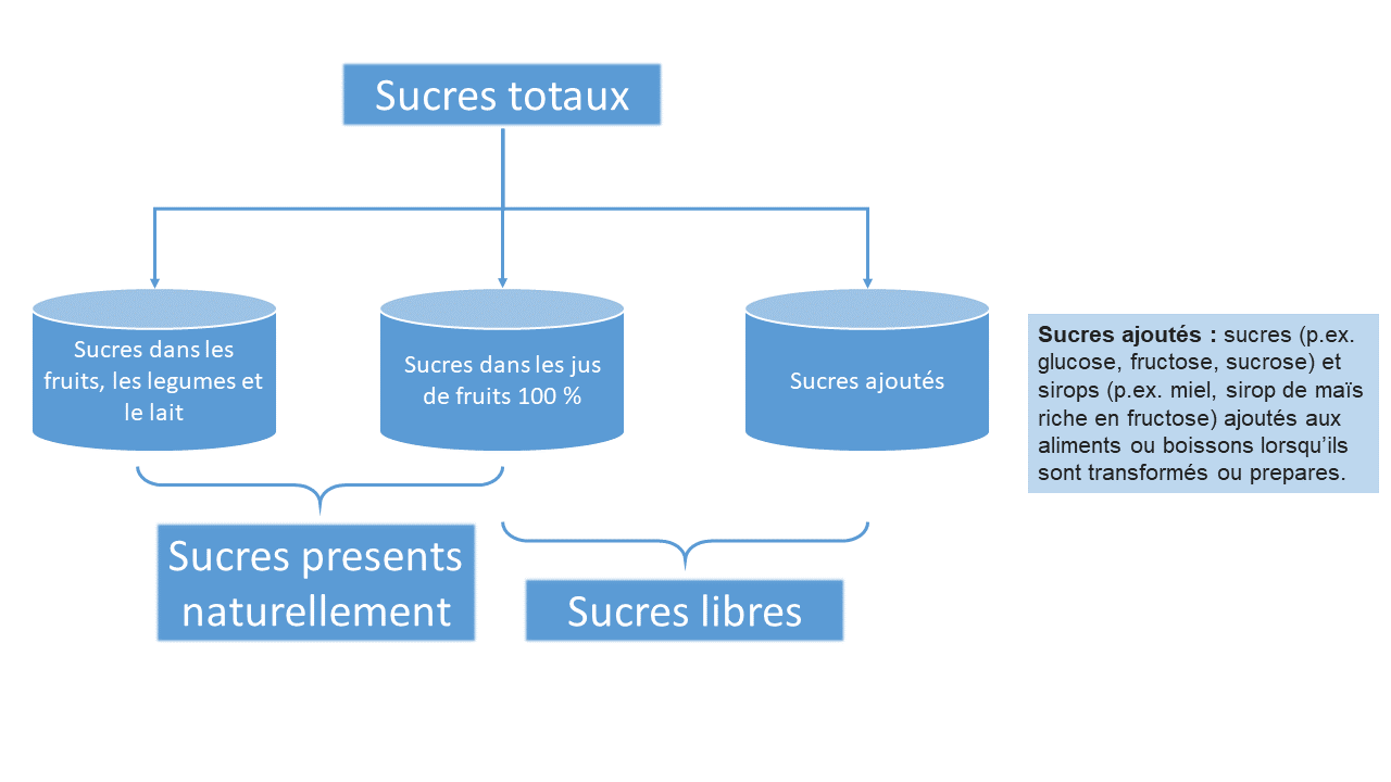 Terminologie Des Sucres Et Des Glucides The Canadian Sugar Institute