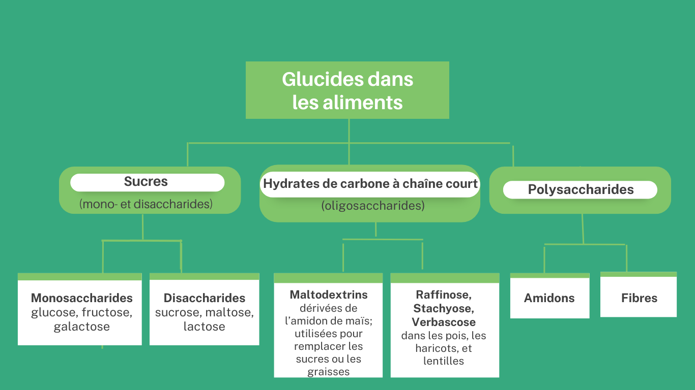 Glucides dans les aliments incluées des sucres, des hydrates de carbone à chaine court, et des polysaccharides