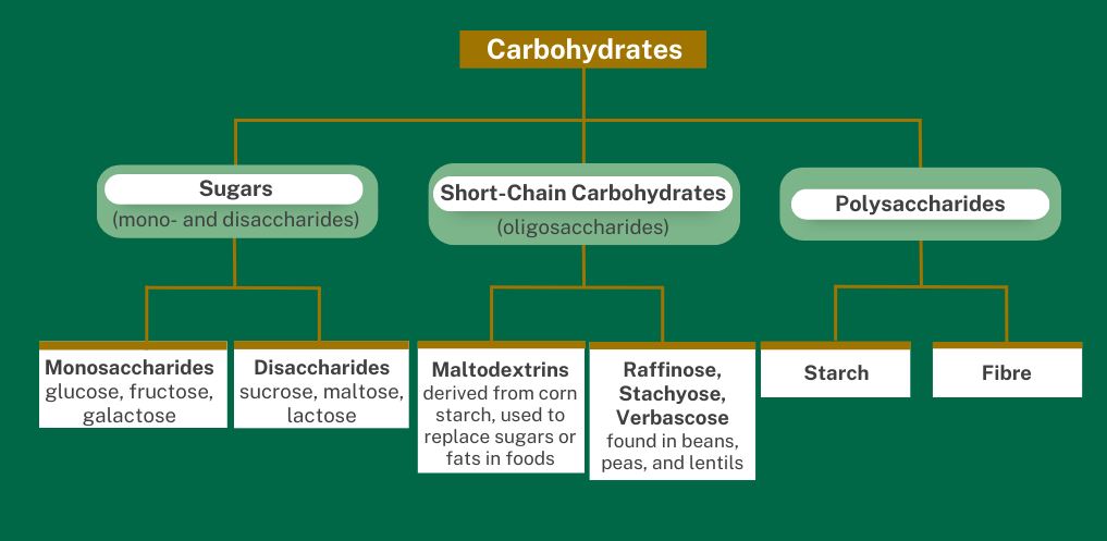 Carbohydrates include sugars (mono- and disaccharides), short chain carbohydrates, and starches (polysaccharides)